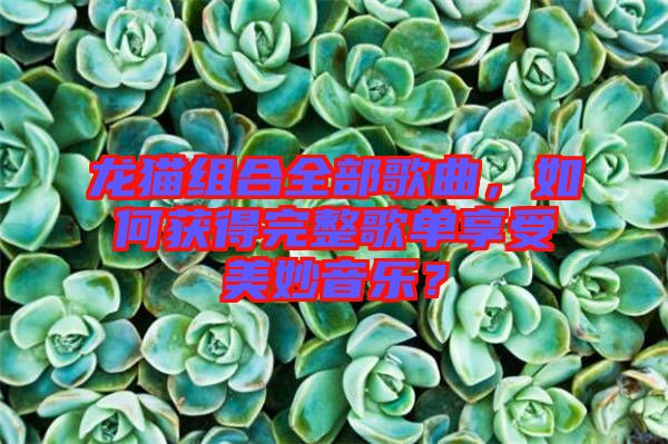 龍貓組合全部歌曲，如何獲得完整歌單享受美妙音樂？