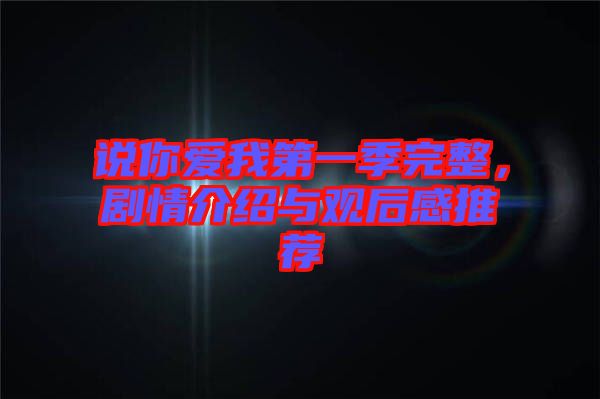 說(shuō)你愛我第一季完整，劇情介紹與觀后感推薦