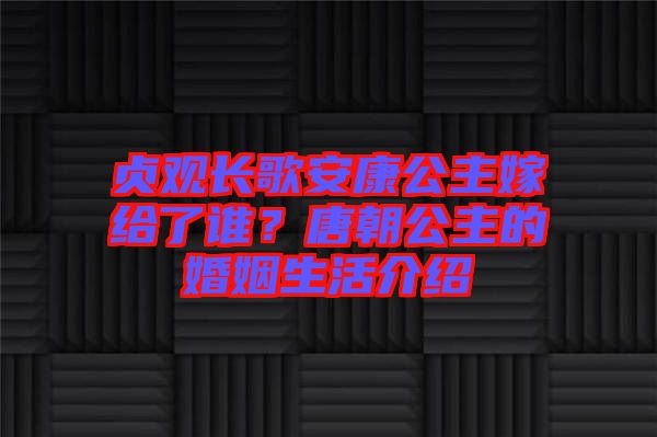貞觀長(zhǎng)歌安康公主嫁給了誰(shuí)？唐朝公主的婚姻生活介紹