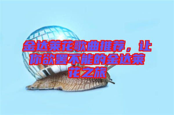 金達萊花歌曲推薦，讓你欲罷不能的金達萊花之旅