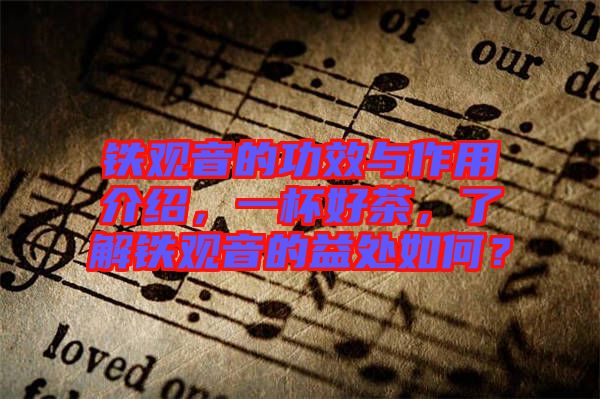 鐵觀音的功效與作用介紹，一杯好茶，了解鐵觀音的益處如何？