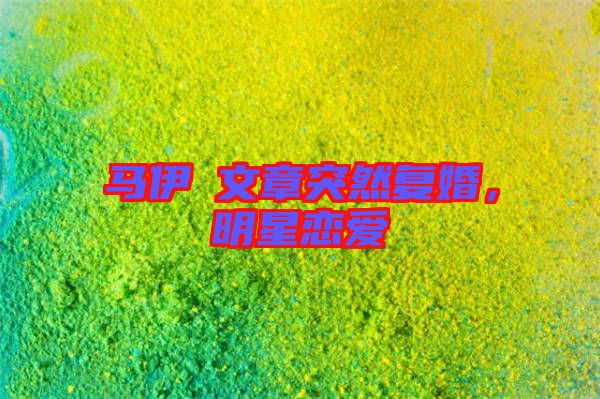 馬伊琍文章突然復婚，明星戀愛