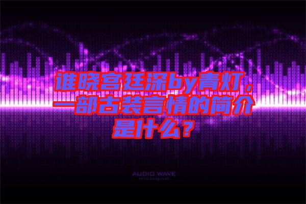 誰(shuí)曉宮廷深by青燈，一部古裝言情的簡(jiǎn)介是什么？