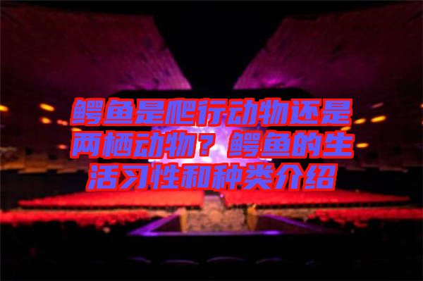 鱷魚是爬行動(dòng)物還是兩棲動(dòng)物？鱷魚的生活習(xí)性和種類介紹