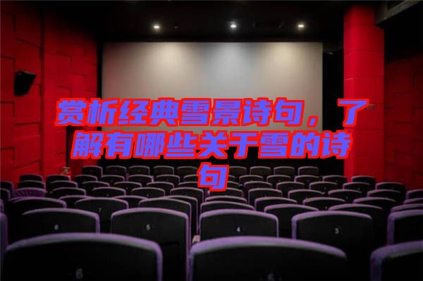 賞析經(jīng)典雪景詩(shī)句，了解有哪些關(guān)于雪的詩(shī)句