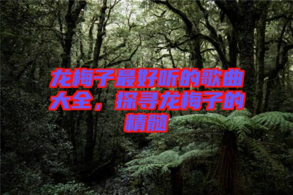 龍梅子最好聽的歌曲大全，探尋龍梅子的精髓