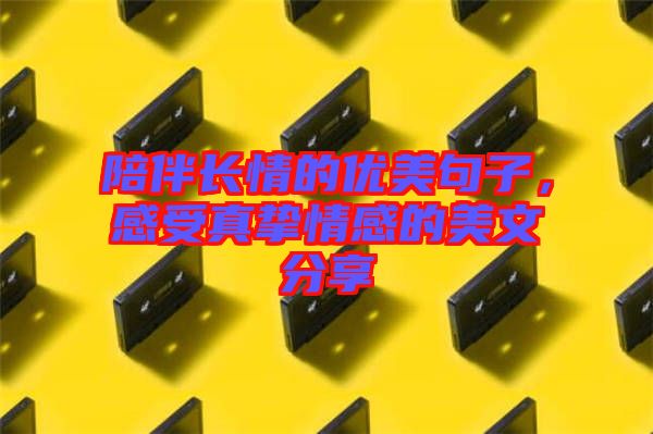 陪伴長情的優(yōu)美句子，感受真摯情感的美文分享