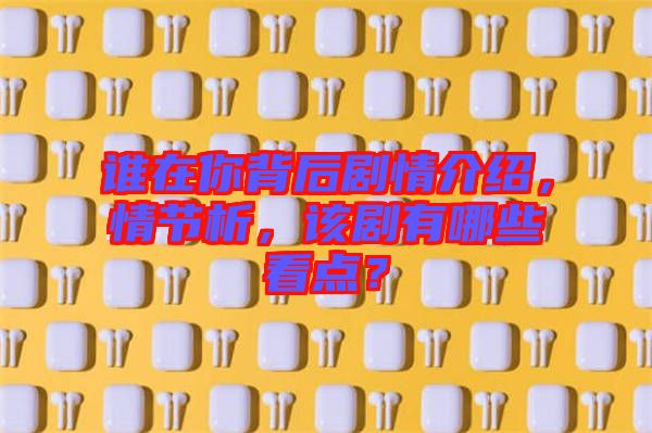 誰(shuí)在你背后劇情介紹，情節(jié)析，該劇有哪些看點(diǎn)？