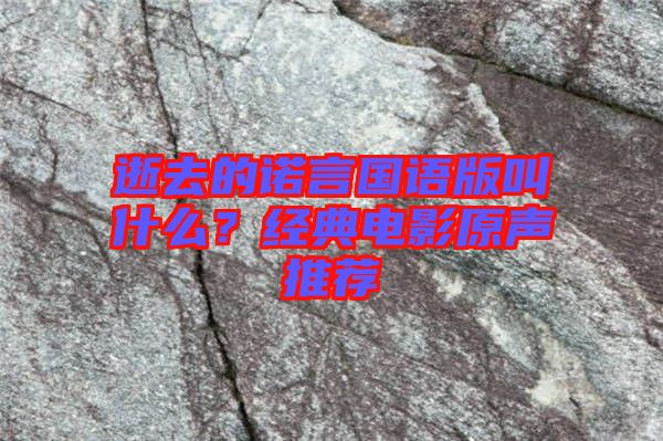 逝去的諾言國(guó)語版叫什么？經(jīng)典電影原聲推薦