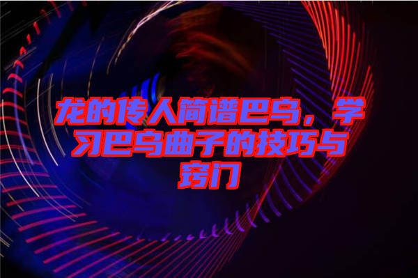 龍的傳人簡(jiǎn)譜巴烏，學(xué)習(xí)巴烏曲子的技巧與竅門(mén)