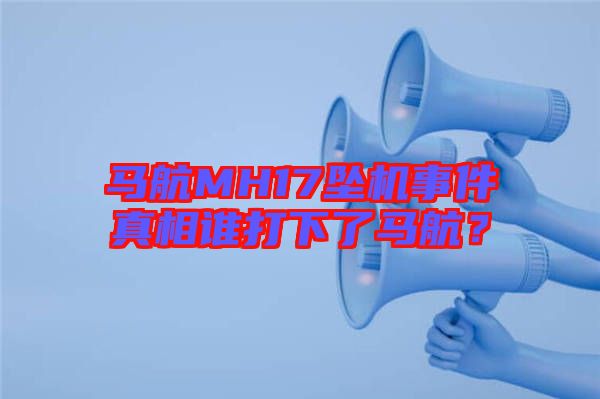 馬航MH17墜機(jī)事件真相誰打下了馬航？