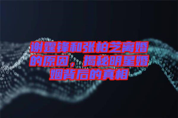 謝霆鋒和張柏芝離婚的原因，揭秘明星婚姻背后的真相