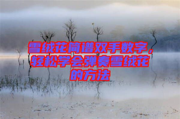 雪絨花簡譜雙手?jǐn)?shù)字，輕松學(xué)會(huì)彈奏雪絨花的方法