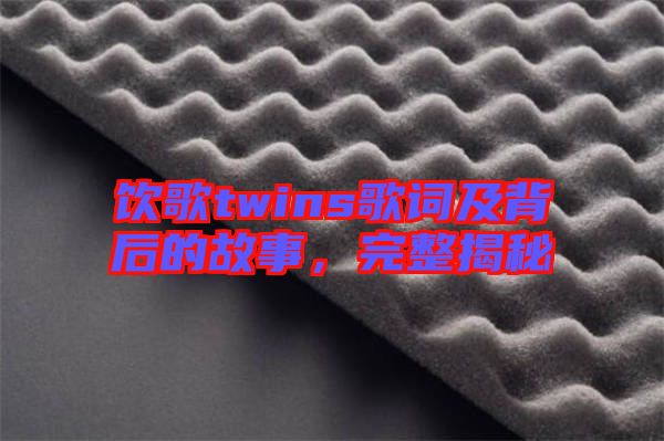 飲歌twins歌詞及背后的故事，完整揭秘