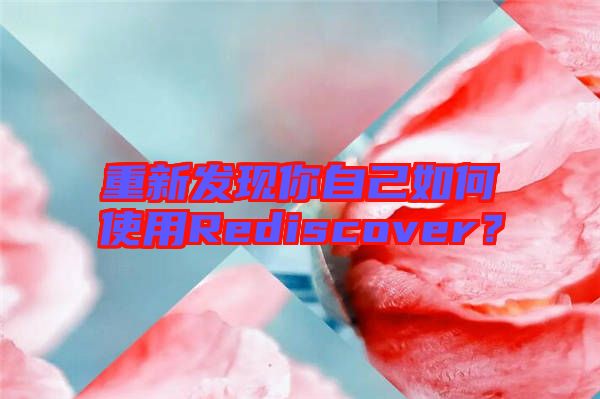 重新發(fā)現(xiàn)你自己如何使用Rediscover？
