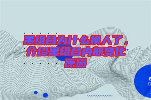 黑組合為什么換人了，介紹黑組合內(nèi)部變化原因