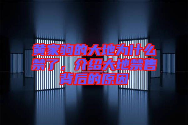 黃家駒的大地為什么禁了，介紹大地禁售背后的原因