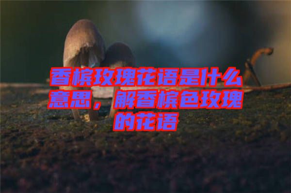 香檳玫瑰花語(yǔ)是什么意思，解香檳色玫瑰的花語(yǔ)