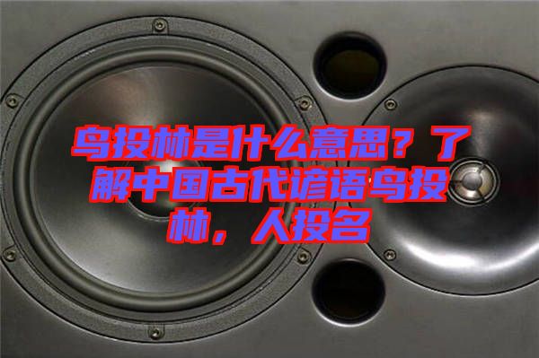 鳥投林是什么意思？了解中國古代諺語鳥投林，人投名
