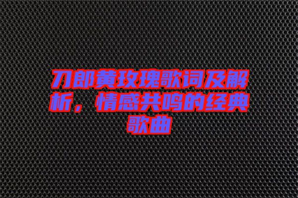 刀郎黃玫瑰歌詞及解析，情感共鳴的經(jīng)典歌曲