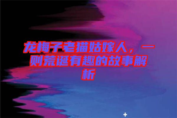 龍梅子老貓姑嫁人，一則荒誕有趣的故事解析