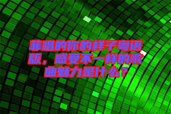 菲唱的你的樣子粵語版，感受不一樣的歌曲魅力是什么？