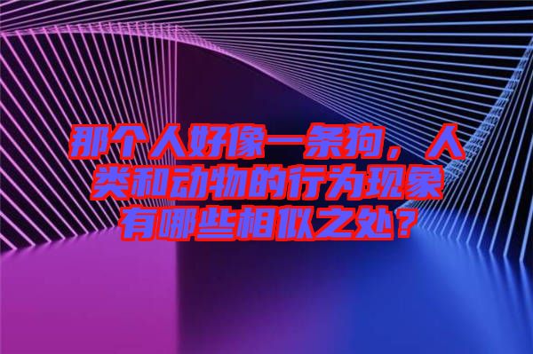那個人好像一條狗，人類和動物的行為現(xiàn)象有哪些相似之處？
