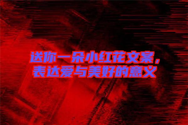 送你一朵小紅花文案，表達(dá)愛(ài)與美好的意義