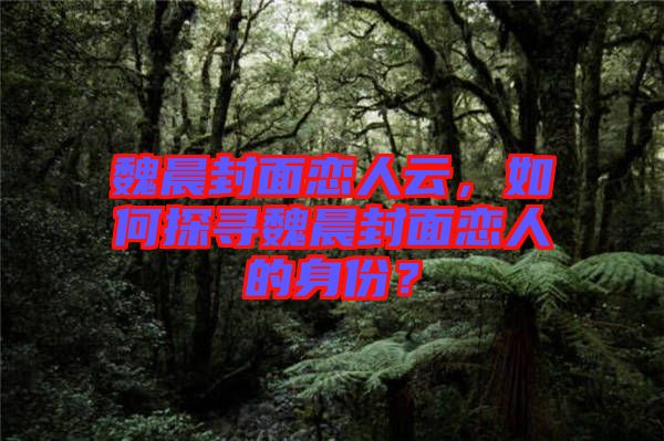 魏晨封面戀人云，如何探尋魏晨封面戀人的身份？
