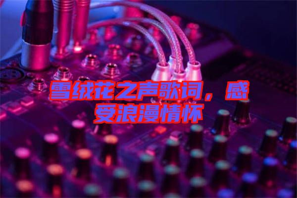 雪絨花之聲歌詞，感受浪漫情懷