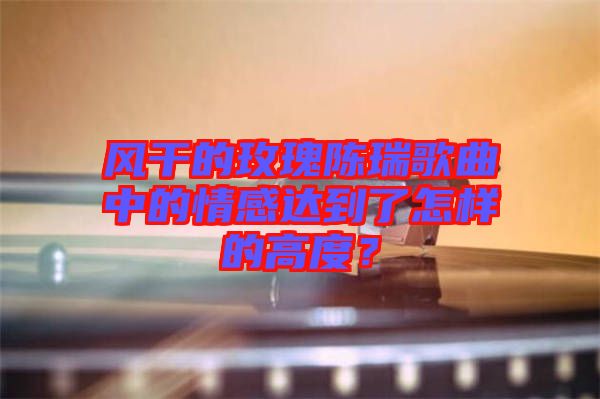 風(fēng)干的玫瑰陳瑞歌曲中的情感達(dá)到了怎樣的高度？
