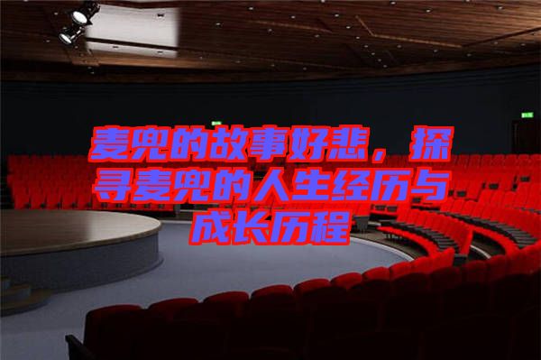 麥兜的故事好悲，探尋麥兜的人生經(jīng)歷與成長歷程
