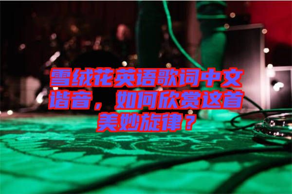 雪絨花英語歌詞中文諧音，如何欣賞這首美妙旋律？