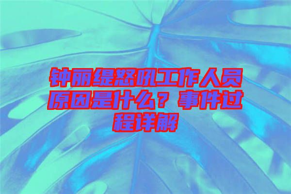鐘麗緹怒吼工作人員原因是什么？事件過程詳解