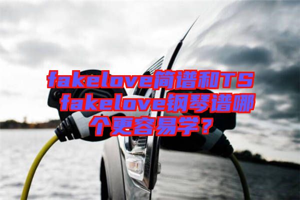 fakelove簡譜和TS fakelove鋼琴譜哪個(gè)更容易學(xué)？