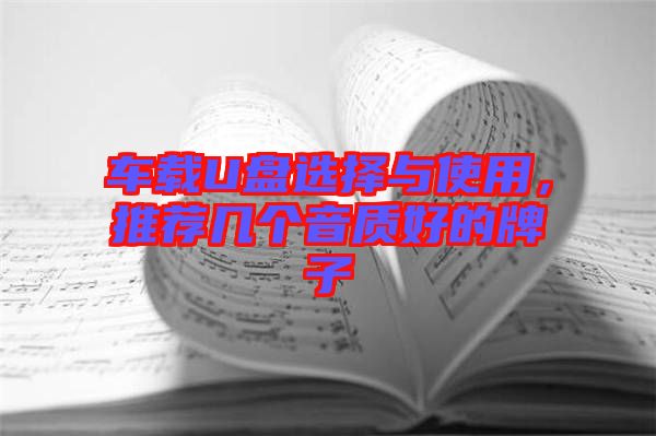 車(chē)載U盤(pán)選擇與使用，推薦幾個(gè)音質(zhì)好的牌子