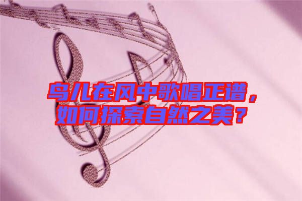 鳥(niǎo)兒在風(fēng)中歌唱正譜，如何探索自然之美？