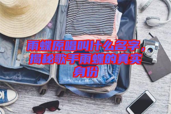 雨蝶原唱叫什么名字，揭秘歌手雨蝶的真實(shí)身份