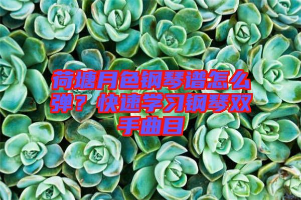 荷塘月色鋼琴譜怎么彈？快速學(xué)習(xí)鋼琴雙手曲目