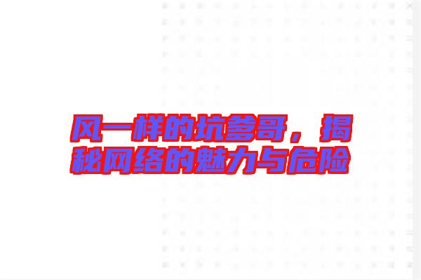 風(fēng)一樣的坑爹哥，揭秘網(wǎng)絡(luò)的魅力與危險