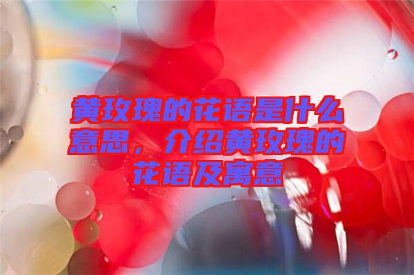 黃玫瑰的花語是什么意思，介紹黃玫瑰的花語及寓意