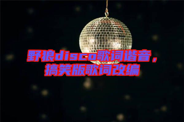 野狼disco歌詞諧音，搞笑版歌詞改編