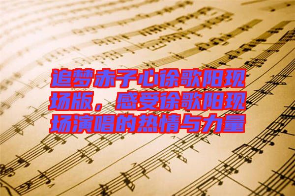 追夢(mèng)赤子心徐歌陽(yáng)現(xiàn)場(chǎng)版，感受徐歌陽(yáng)現(xiàn)場(chǎng)演唱的熱情與力量