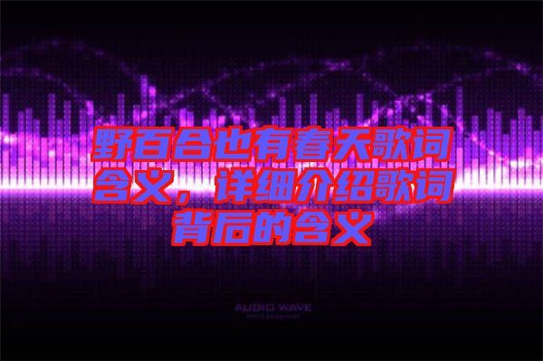 野百合也有春天歌詞含義，詳細(xì)介紹歌詞背后的含義