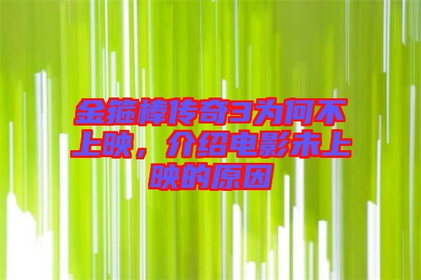 金箍棒傳奇3為何不上映，介紹電影未上映的原因